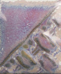 Alternative view of SW196 SAND DOLLAR