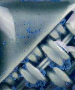 Alternative view of SW217 MICRO CERULEAN