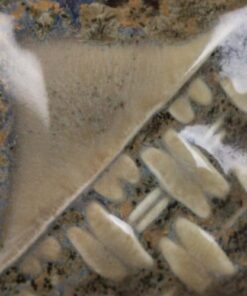 Alternative view of SW218 MICRO ASH