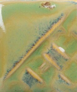Alternative view of SW228 BEETLEWING