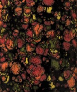 CG970-4 MASQUERADE 4 OZ