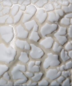 SW403 WHITE MUDCRACK