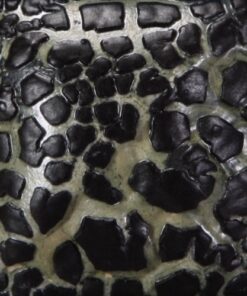 SW404 BLACK MUDCRACK