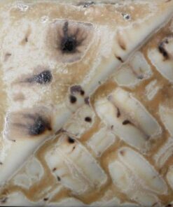 SW176 SANDSTONE